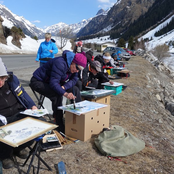 Pitztal_2019__61_.jpg