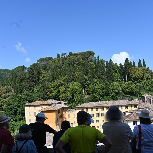 DSC_8118.jpg