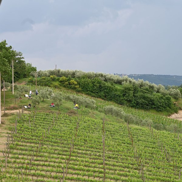 DSC_7973.jpg