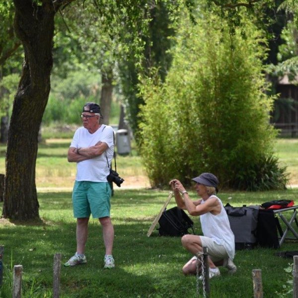 DSC_4614.jpg