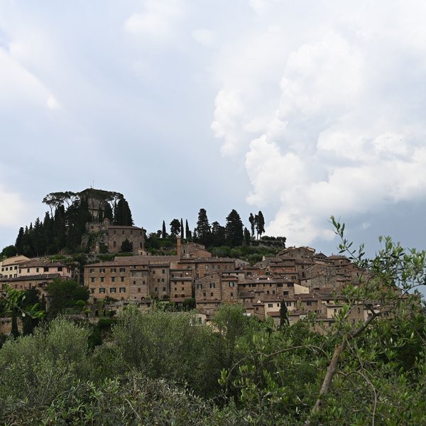 DSC_8479.jpg