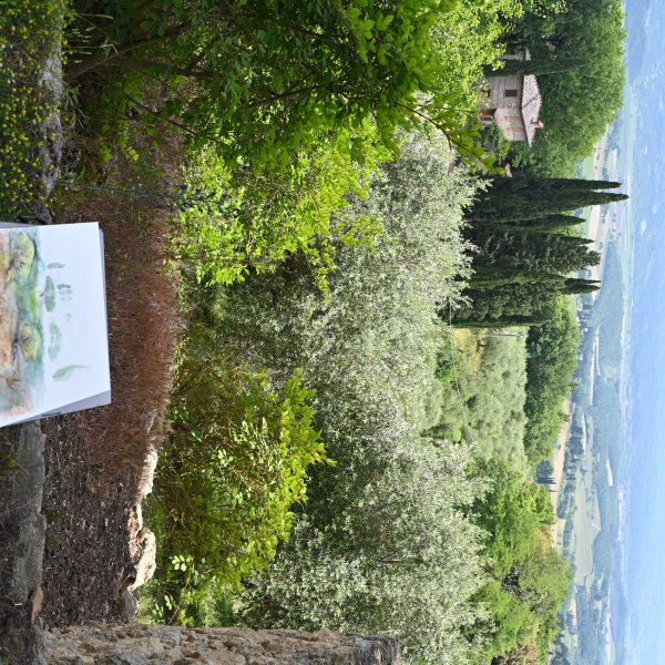 DSC_2313.JPG