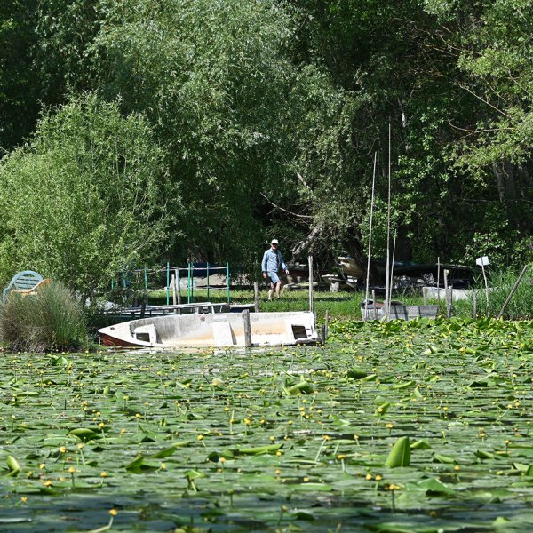 DSC_8507.jpg