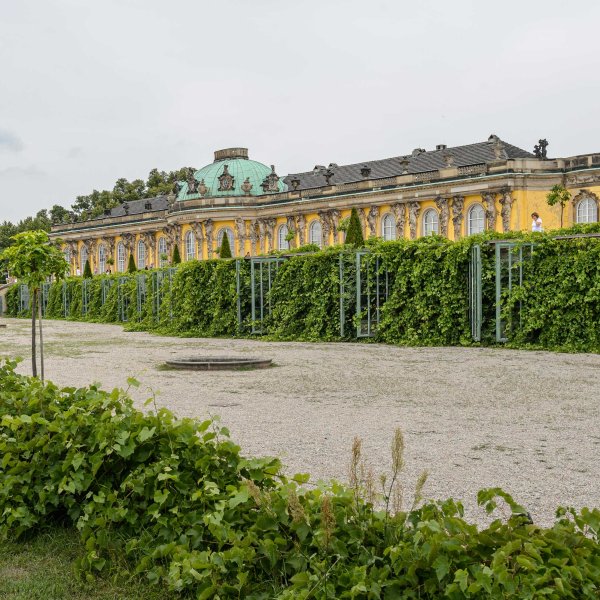 DFD_6728-10.jpg