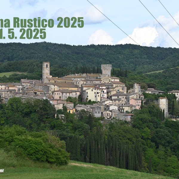 2025 Toscana rustico