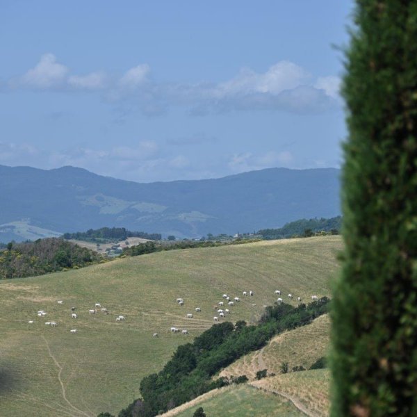 DSC_3728.jpg