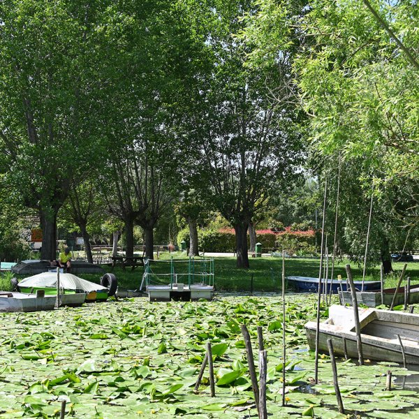 DSC_8564.jpg
