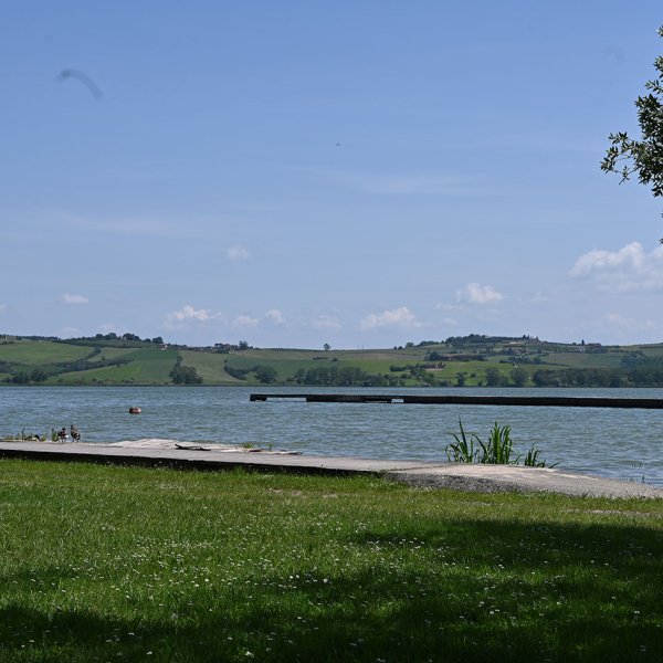 DSC_8565.jpg