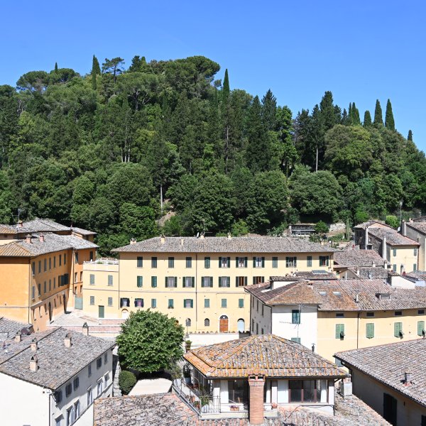 DSC_2409.JPG