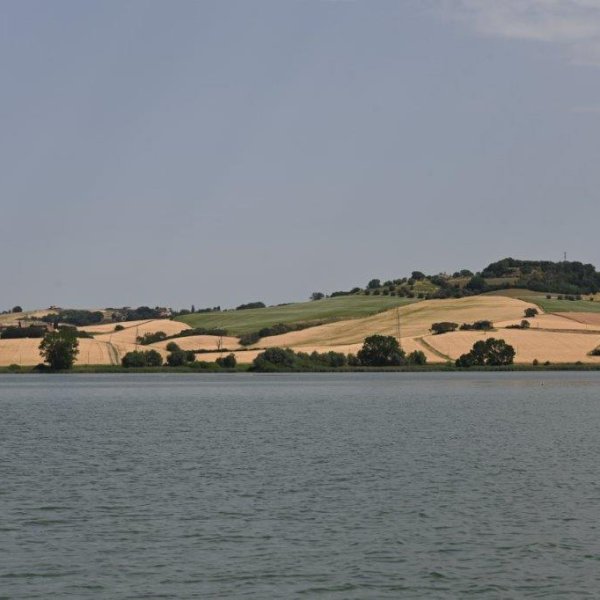 DSC_4651.jpg