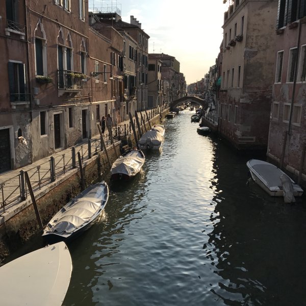 IMG_4770.jpg
