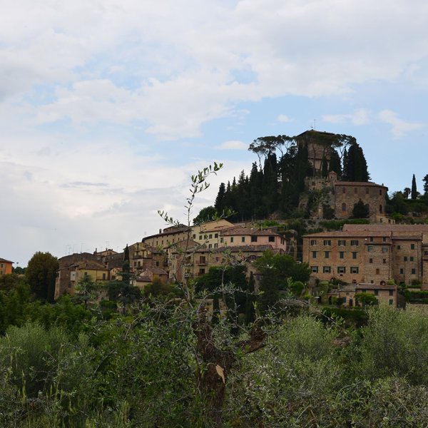 WST_8089.jpg