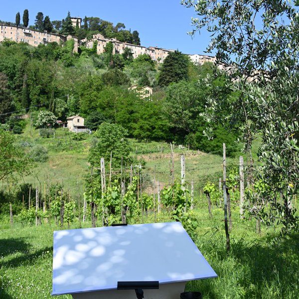 DSC_8413.jpg