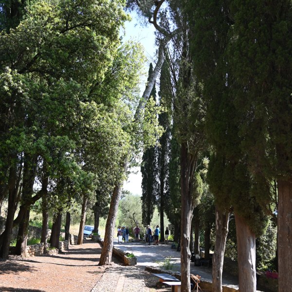 DSC_2264.JPG