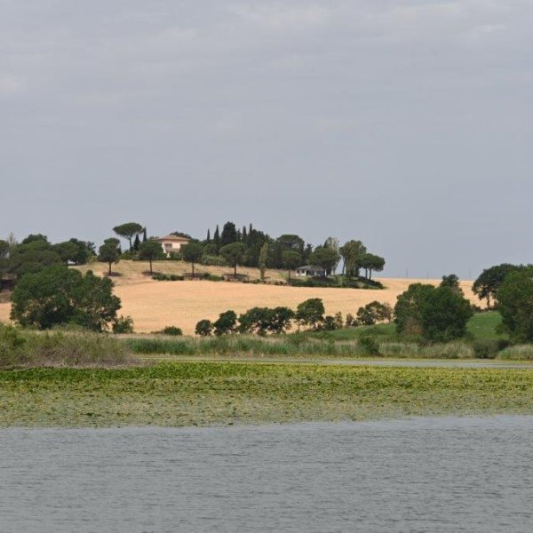 DSC_4653.jpg
