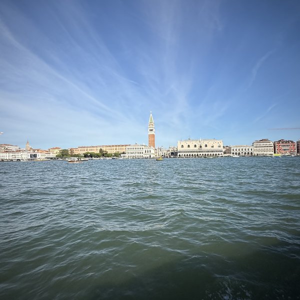 IMG_5683.jpg
